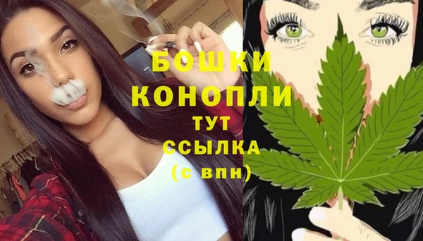 стафф Вяземский