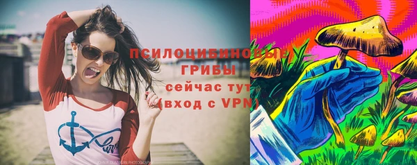 твердый Вязники