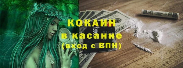 стафф Вяземский